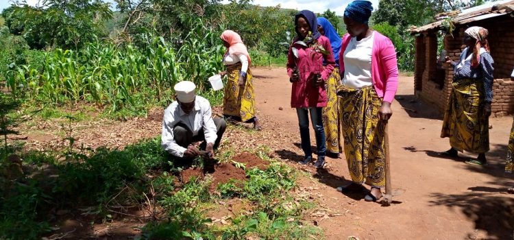 MASYAP Tree Planting Exercise