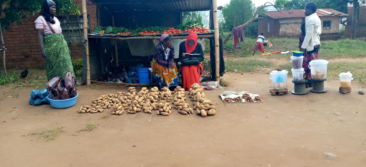 MASYAP Microfinance Programme