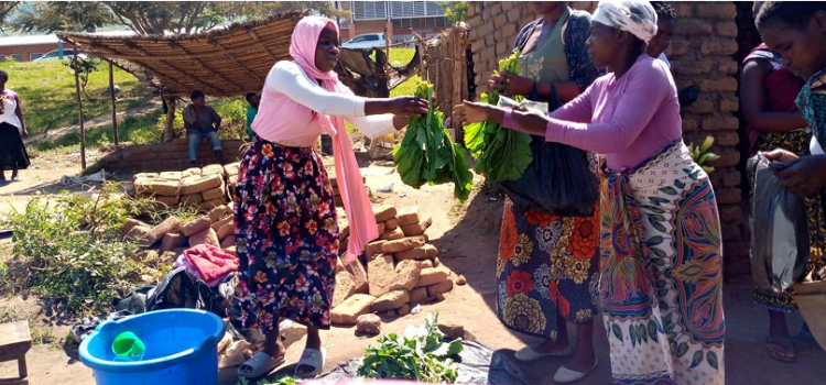 MASYAP Microfinance Programme Follow-Up