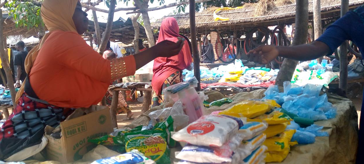 MASYAP Microfinance Follow-Up Visits